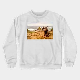 llb blue heeler Crewneck Sweatshirt